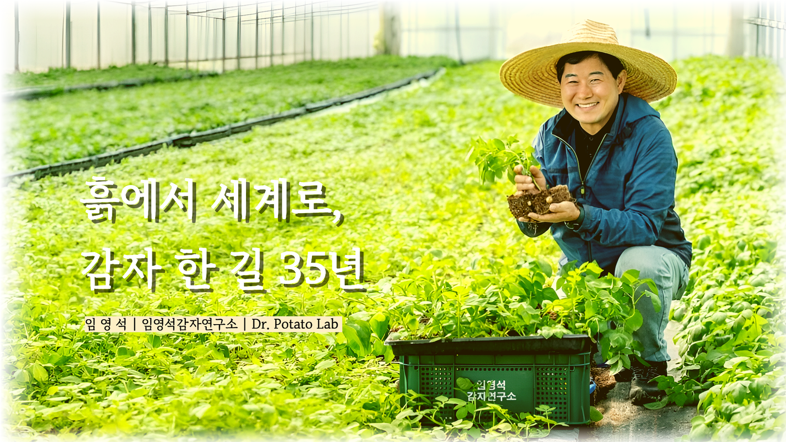 임영석감자연구소 대표 이미지